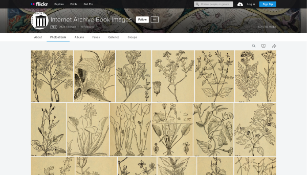 讓大型語言模型蓬勃發展——資料與技術的開放、協力、自主
