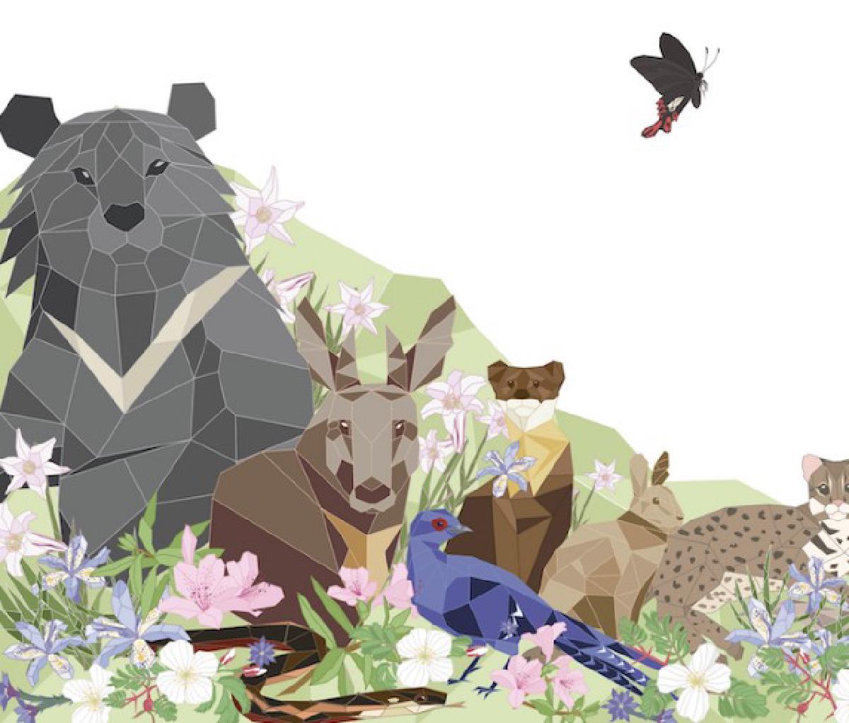 讓資料價值顯現的「台灣生物多樣性網絡」——專訪柯智仁、張慧玲研究員