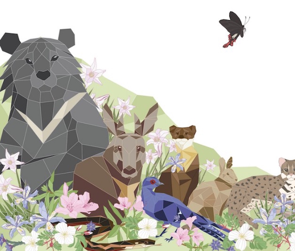 讓資料價值顯現的「台灣生物多樣性網絡」——專訪柯智仁、張慧玲研究員