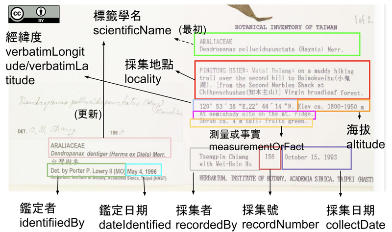 植物標本標籤結構化及對應達爾文核心集標準（DwC）欄位