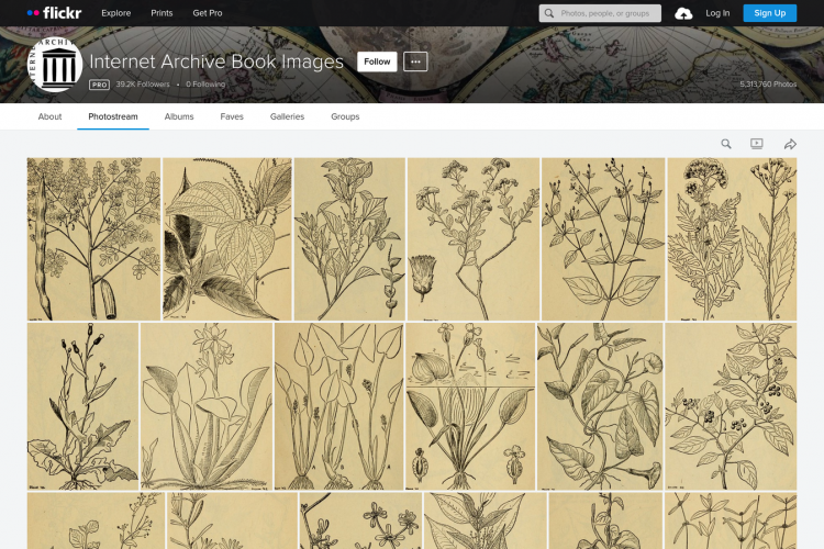 Internet Archive Book Images 的 Flickr 相簿——從公眾領域圖書中抽取出的圖像